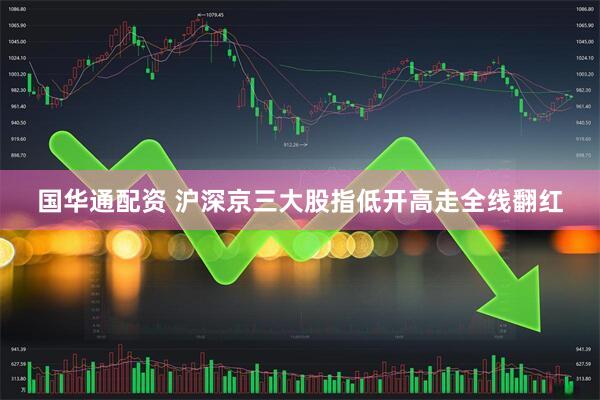 国华通配资 沪深京三大股指低开高走全线翻红