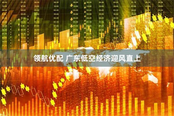 领航优配 广东低空经济迎风直上