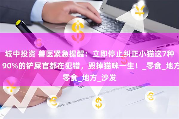城中投资 兽医紧急提醒：立即停止纠正小猫这7种行为！90%的铲屎官都在犯错，毁掉猫咪一生！_零食_地方_沙发