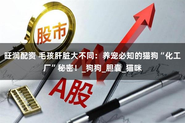 旺润配资 毛孩肝脏大不同：养宠必知的猫狗“化工厂”秘密！_狗狗_胆囊_猫咪
