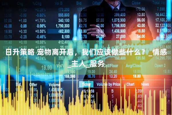 日升策略 宠物离开后，我们应该做些什么？_情感_主人_服务
