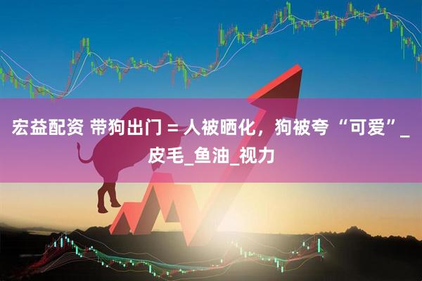宏益配资 带狗出门 = 人被晒化，狗被夸 “可爱”_皮毛_鱼油_视力