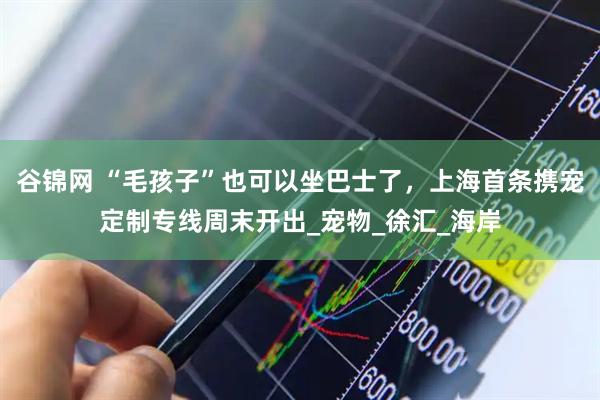 谷锦网 “毛孩子”也可以坐巴士了，上海首条携宠定制专线周末开出_宠物_徐汇_海岸