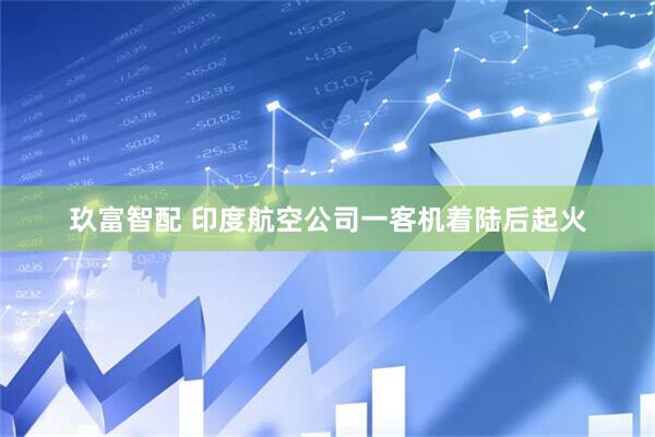 玖富智配 印度航空公司一客机着陆后起火